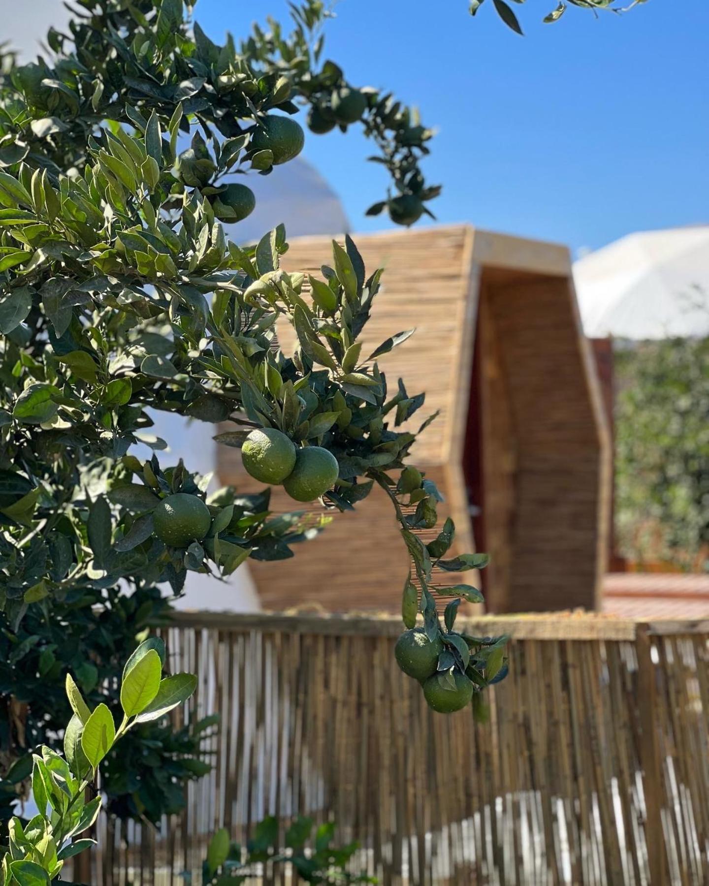 Mandalin Glamping Hotel Selçuk Exterior foto